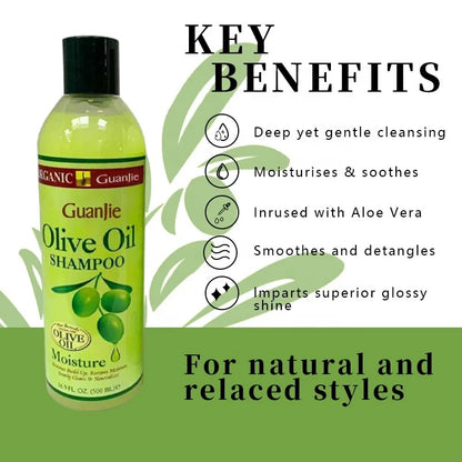 Olive Oil Shampoo